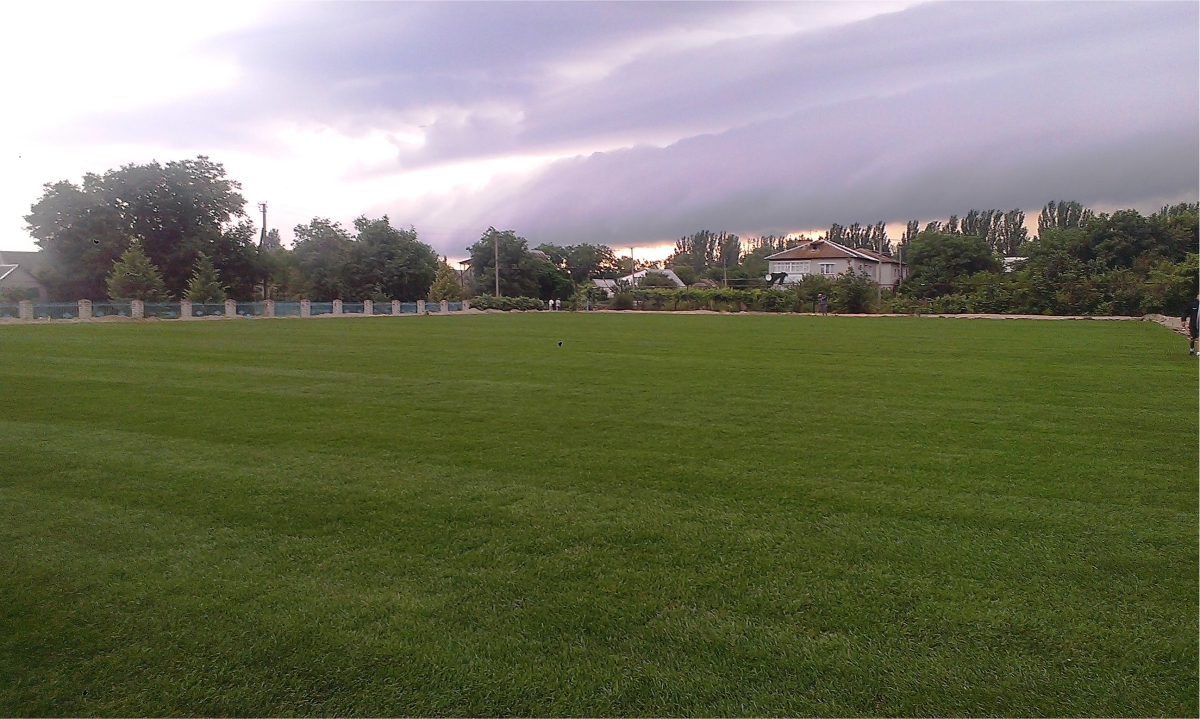 #рулонный газон